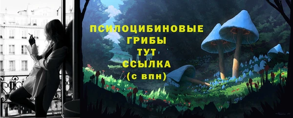 mdpv Балахна