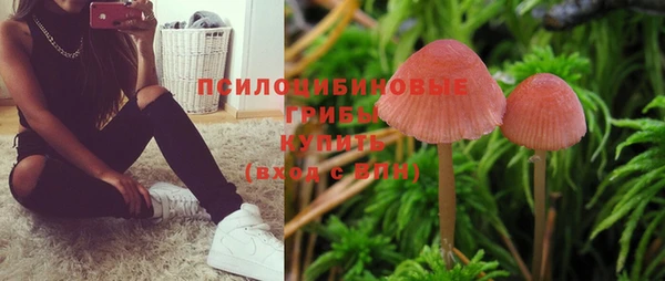 а пвп мука Баксан