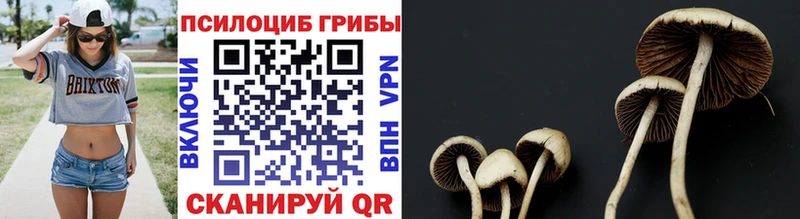 как найти   Усть-Кут  Галлюциногенные грибы мухоморы 